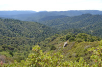 Castle Rock State Park